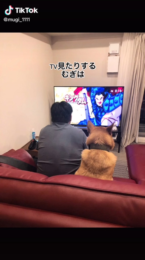 一緒にテレビ
