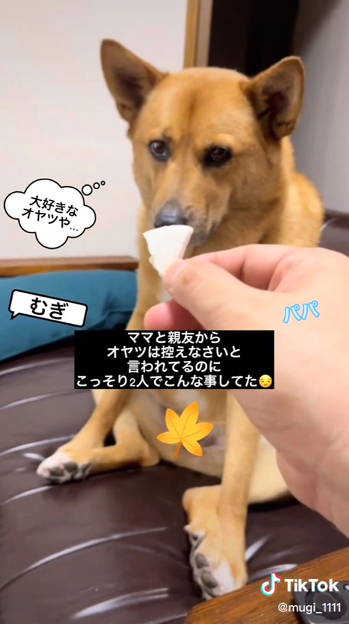 大好きなおやつや