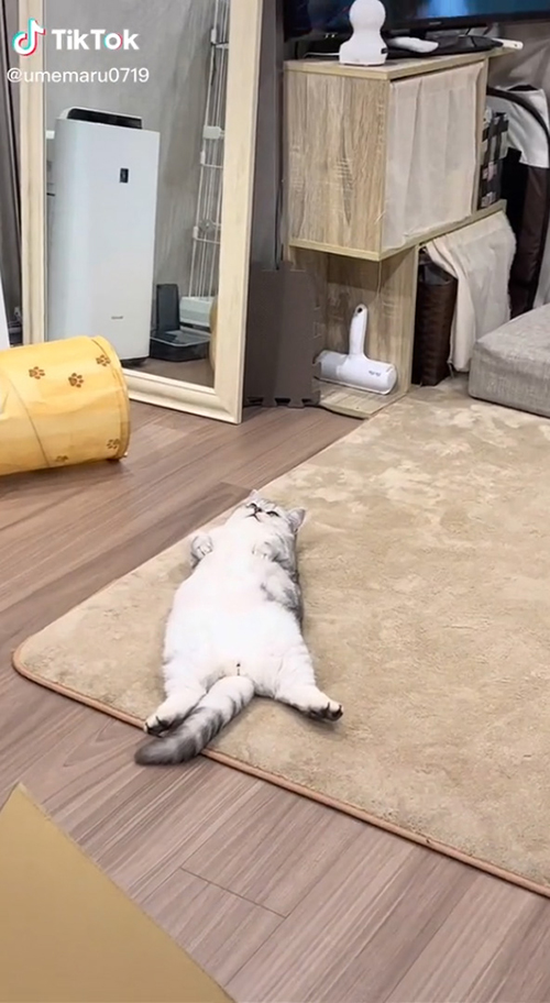 少し接近