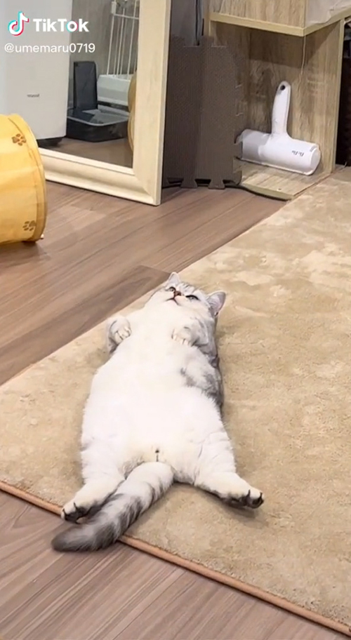 さらに接近