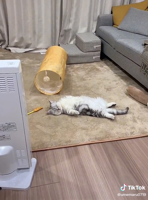 バタンキュー梅丸くん