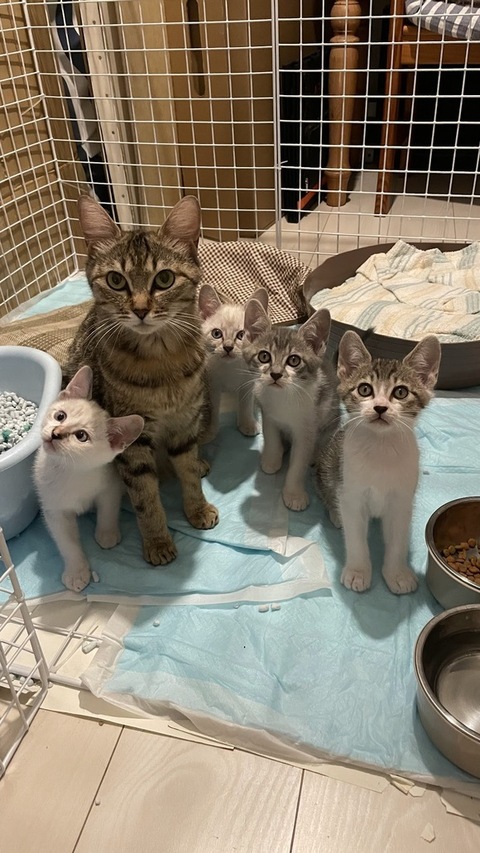 おすすめ