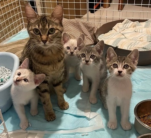 投稿された集合写真