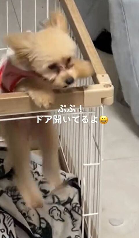 思い切りジャンプ