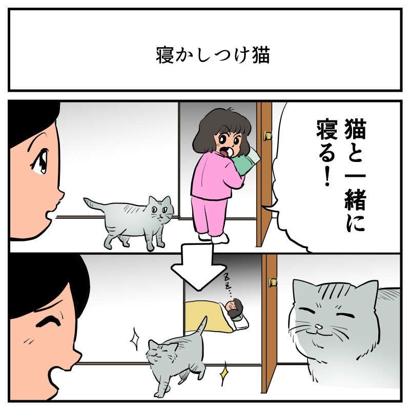 すてきな実話