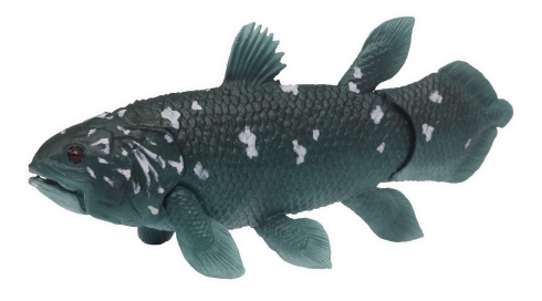 大むかしの海　古代海洋記