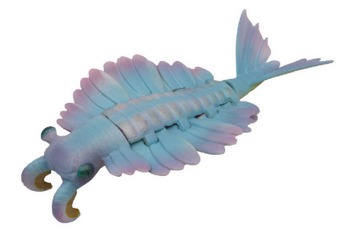 大むかしの海　古代海洋記