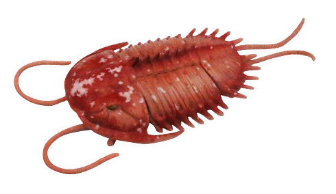 大むかしの海　古代海洋記