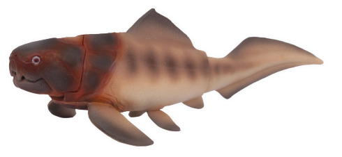 大むかしの海　古代海洋記