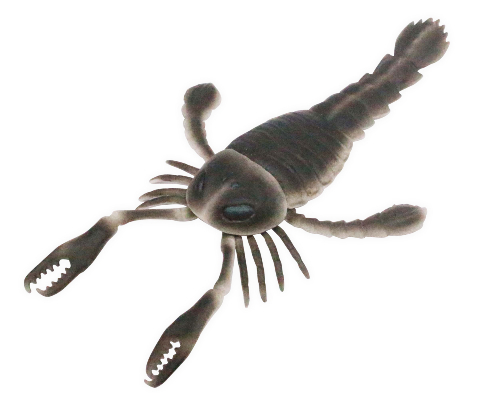 大むかしの海　古代海洋記