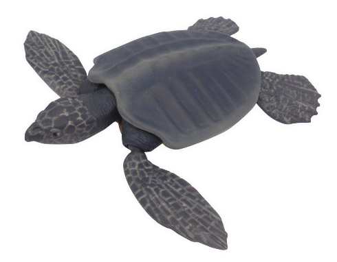 大むかしの海　古代海洋記