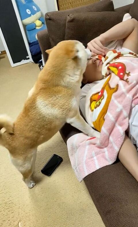 つかまり立ちして顔の匂いをかぐ