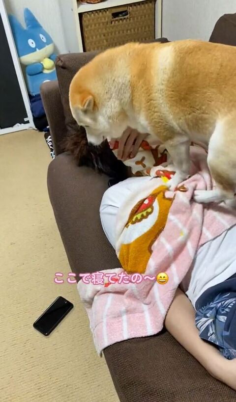 お兄ちゃんの上に乗る