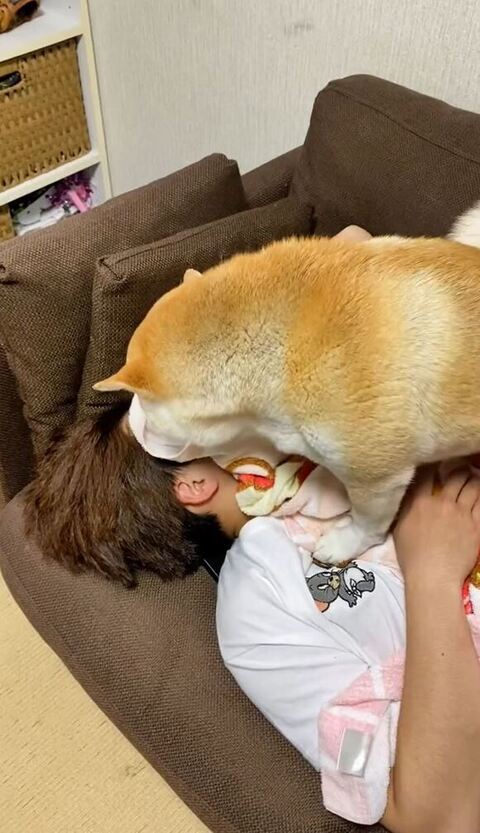 お腹の上から顔の匂いかぐ