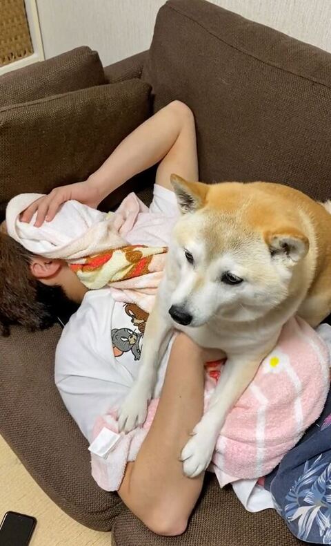 左前足でお兄ちゃんの手をさわってる