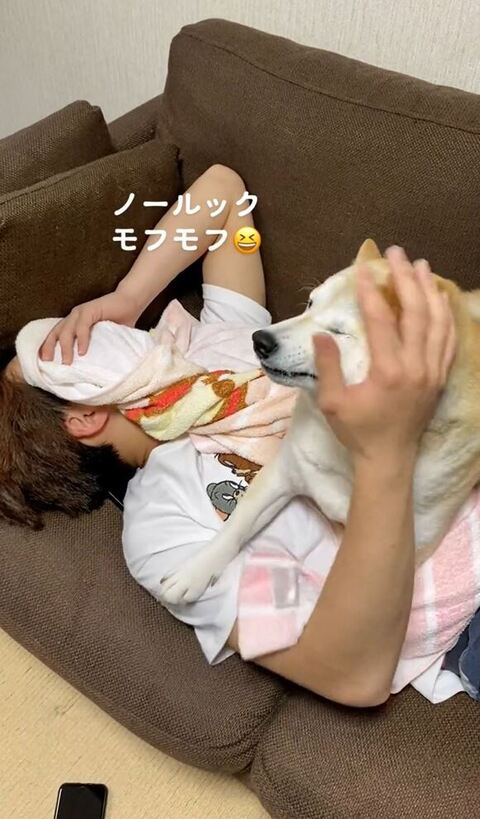 顔なでられてる