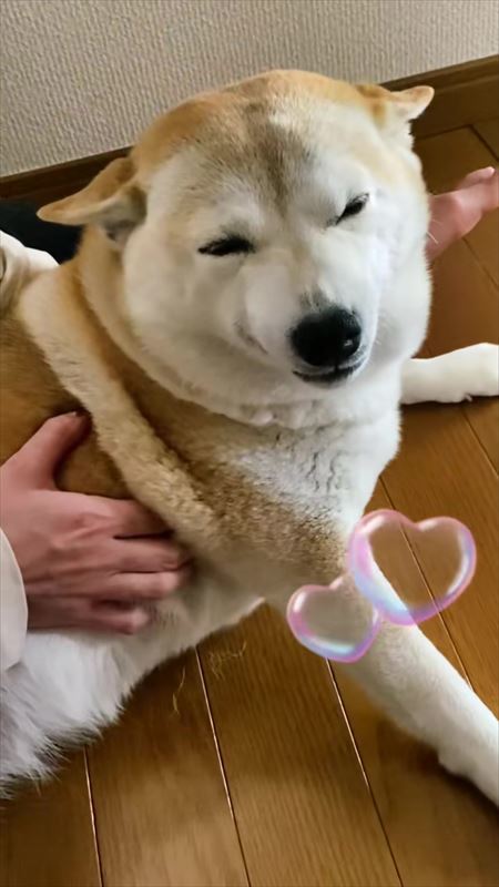 笑顔のゆずちゃん