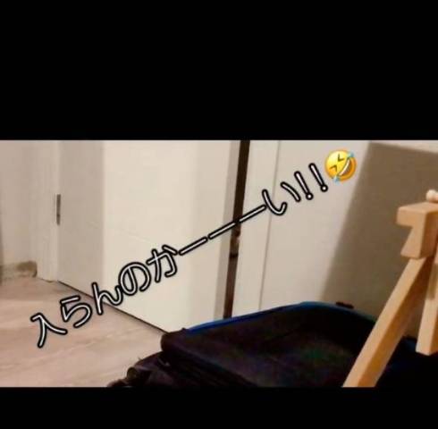 ドアを閉める猫