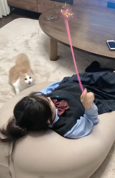 お姉ちゃんと遊ぶねこ