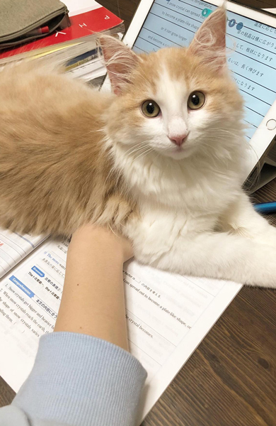 手が動かせないお姉ちゃん