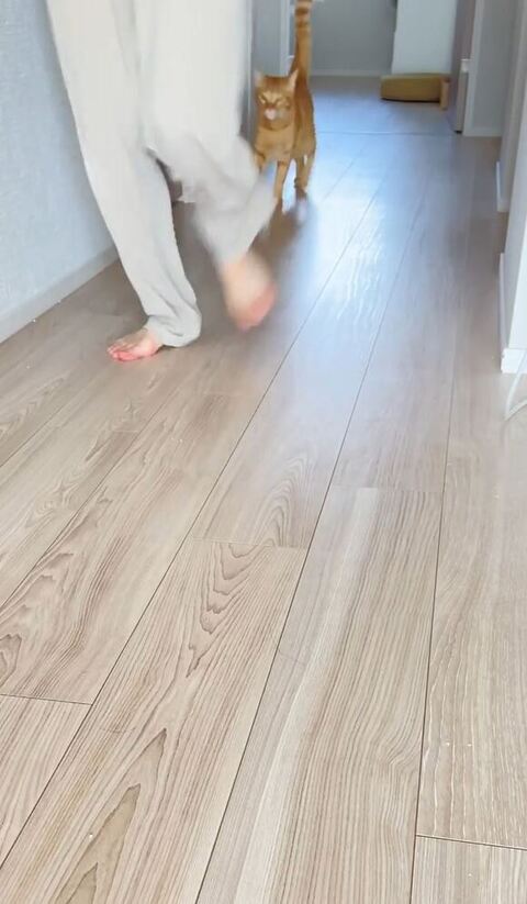 カメラに走ってくる遠めアングル