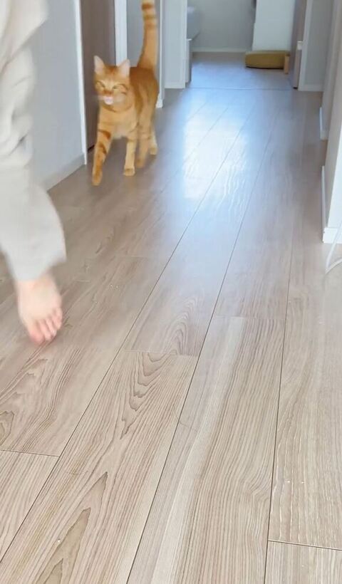 廊下の真ん中らへん正面アングル