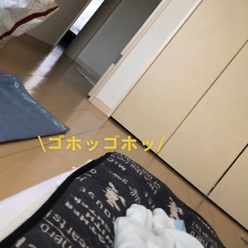 席をした飼い主