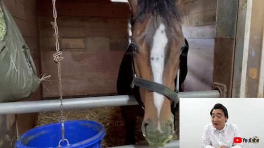 ジャングルポケット 斉藤慎二 オマタセシマシタ 門別競馬場 デビュー 競走馬