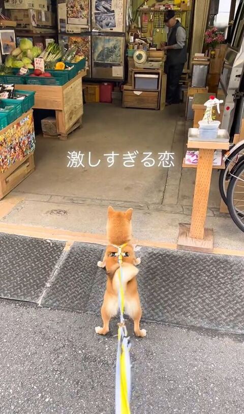 離れた位置からおじさんを見てる