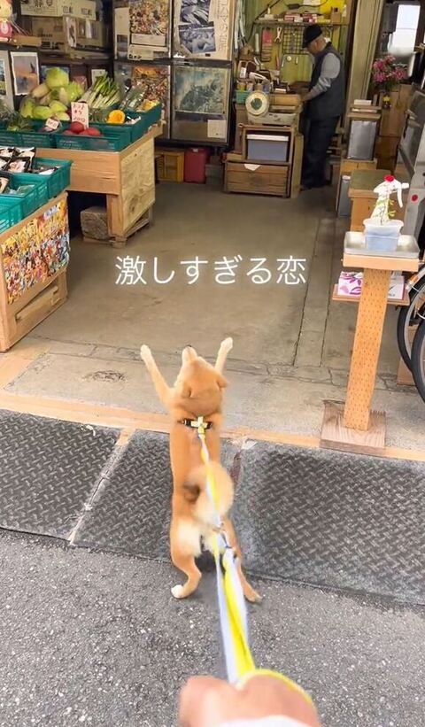 両前足広げておじさん待ってる