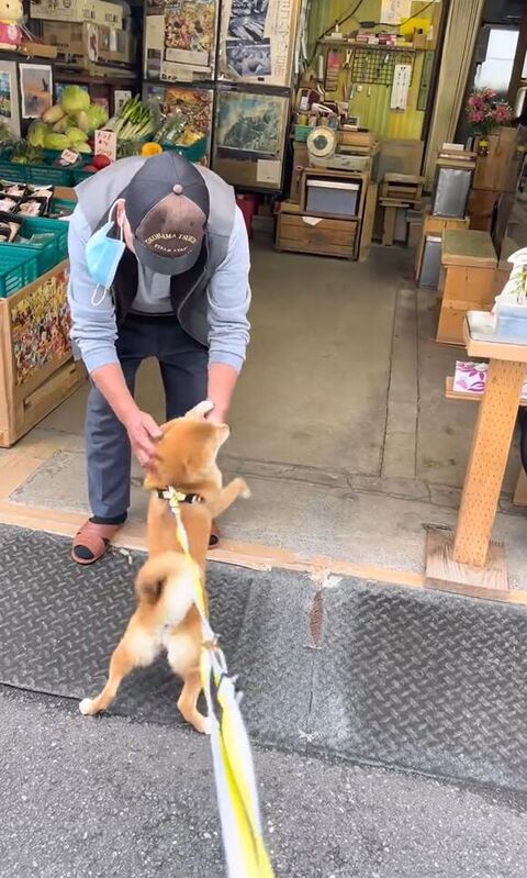 なでられて体のけぞらす