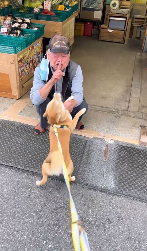 おじさんがしーって言ってる