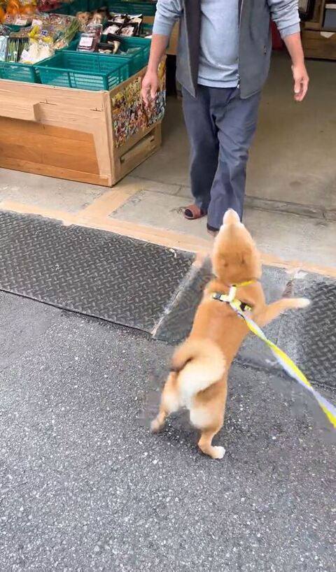 おじさんから離れる