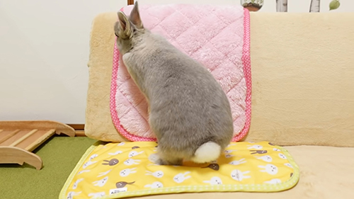 ホリホリ専用スペース