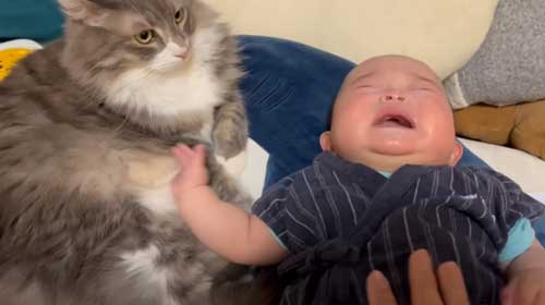 おすすめ