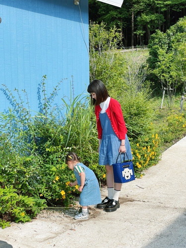 「いつ咲いたんですか？」