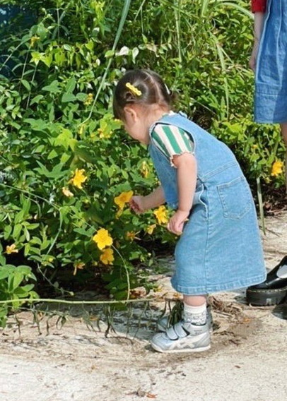 「いつ咲いたんですか？」