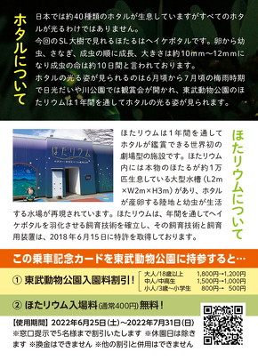 SL大樹でのホタル観賞イベント