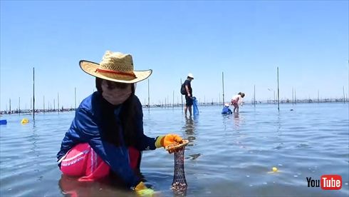 潮干狩りを楽しむ中川翔子