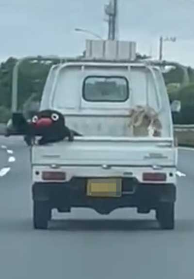 軽トラック 荷台 ピングー ぬいぐるみ