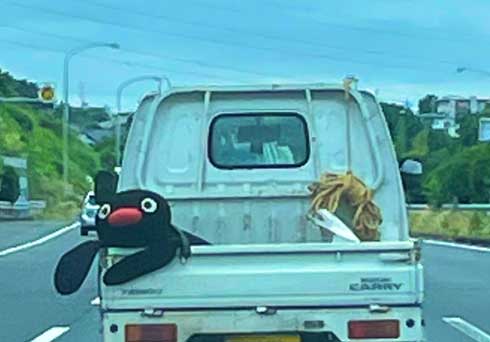 軽トラック 荷台 ピングー ぬいぐるみ