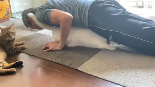 筋トレに協力してくれるミルコくん