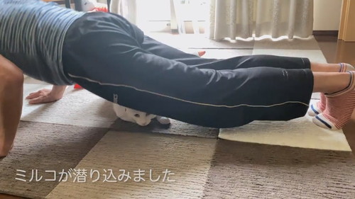 足と床に挟まる猫