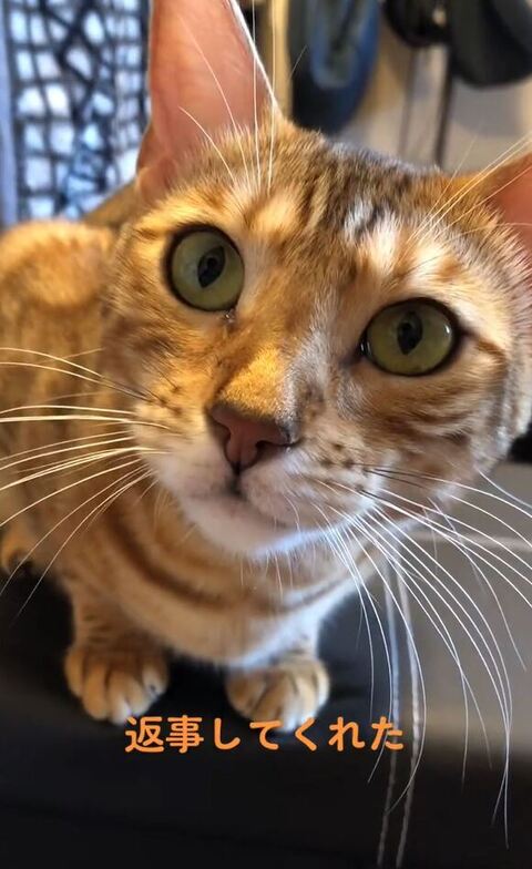 ひまわりちゃんアップ