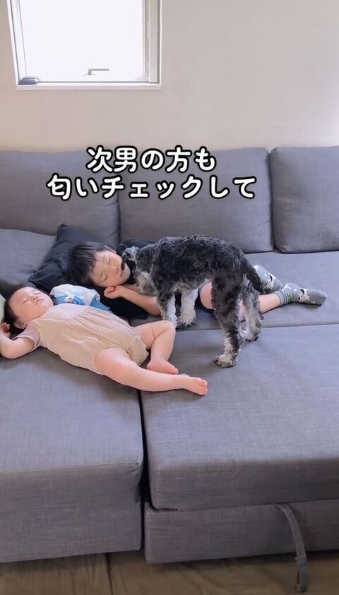 次男の匂いチェック