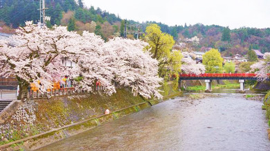 飛騨・高山の駅弁、まつりべんとう