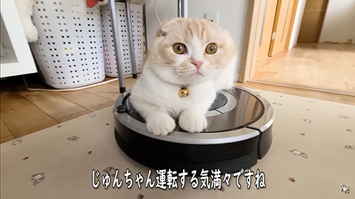 運転する気満々じゅんちゃん