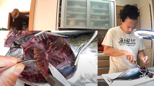 YouTuber マグロ 漬け丼 料理 手術 医療器具 血抜き 毛細血管 味付け