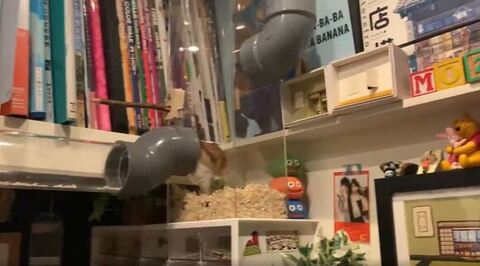 パイプから休憩所