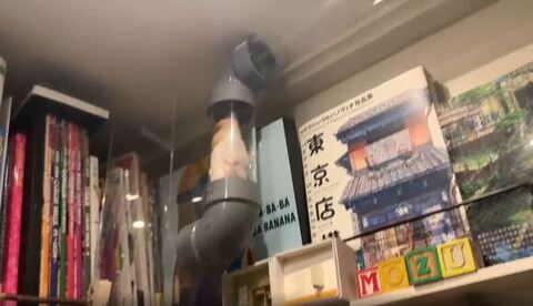 パイプ上にのぼってる